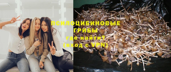 MDMA Медвежьегорск