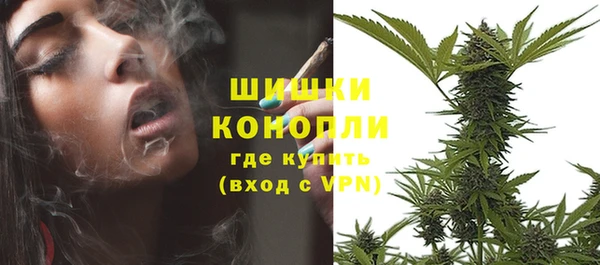 мескалин Мегион