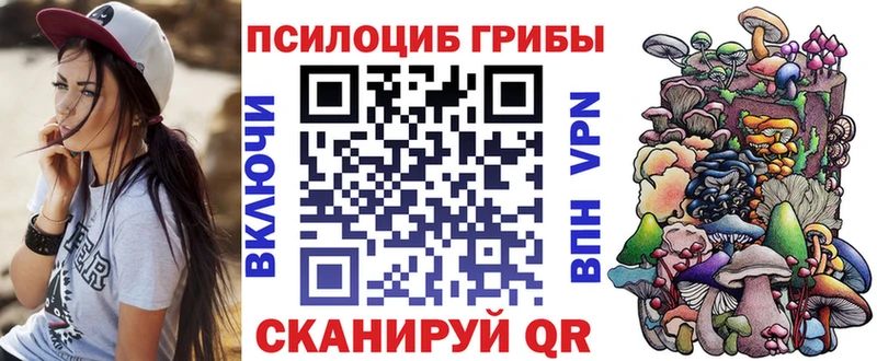 закладка  Обнинск  Псилоцибиновые грибы Psilocybe 