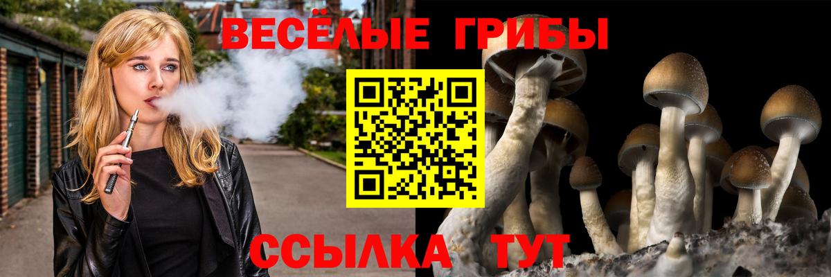 даркнет сайт  Вход с VPN  Обнинск  Псилоцибиновые грибы мицелий  Псилоцибиновые грибы прущие грибы 