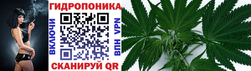 Бошки Шишки тримм  Обнинск 